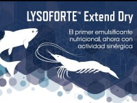 LYSOFORTE EXTEND DRY