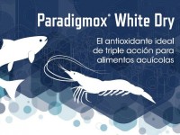 PARADIGMOX WHITE DRY