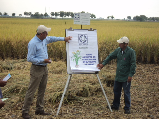 Día Campo con Mezclas Físicas en cultivo de arroz en Hcda. Dos Hermanos