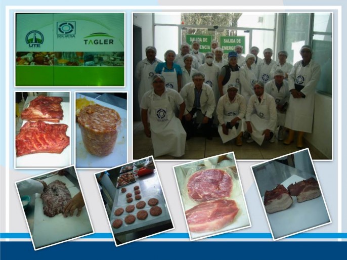 WORK SHOP: MEAT AND BIOTECHNOLOGY INNOVATION